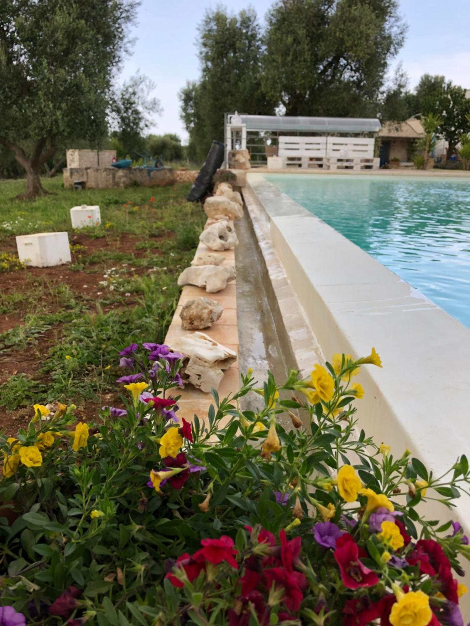 צ'לייה מספיקה B&B Terre Di Kalia מראה חיצוני תמונה